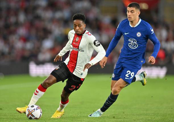 由于其独特 由于其独特