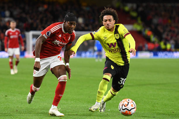 蘭的品牌影 蘭的品牌影