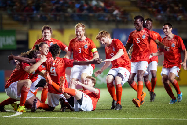 团队协作与 团队协作与